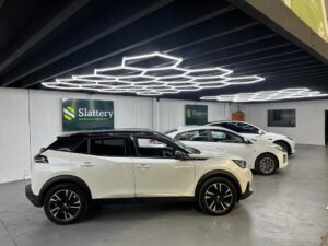 Sydney Motor Vehicle Auction