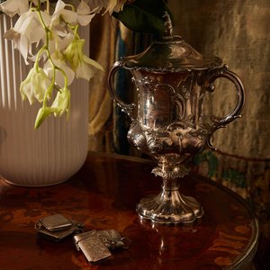 The Collector's Auction