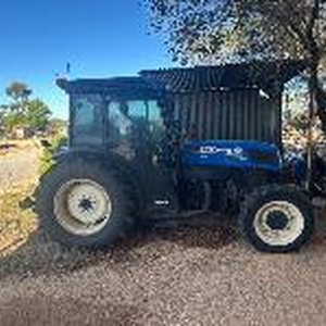 Vineyard Plant Clearance