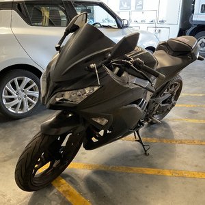 2013 Kawasaki Ninja 300 Motorcycle