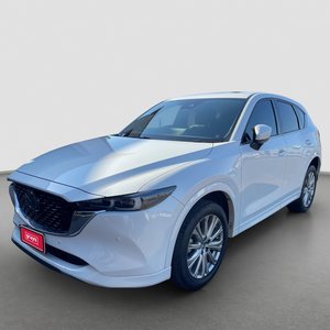 Darwin Motor Vehicle Auction