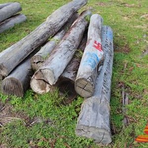 Jarrah Logs, Fence Posts & Strainer Posts Online Offsite Auction