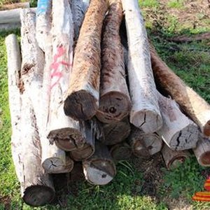 Firewood Logs, House Poles, Sleepers, Jarrah Logs, Fencing Posts & Boards Online Offsite Auction