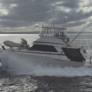 1998 Riviera Platinum 39 Open Flybridge
