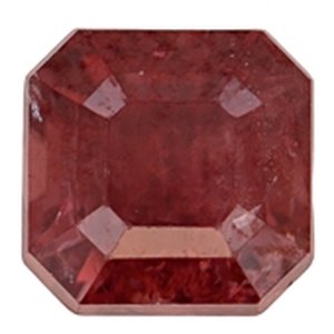 Natural Multicolor Sapphires Gemstones Collection