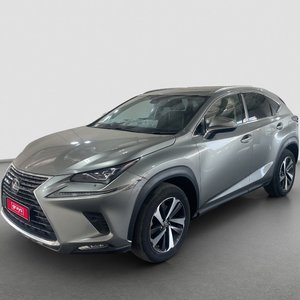2019 Lexus NX 300 Sports Luxury Auto AWD SUV