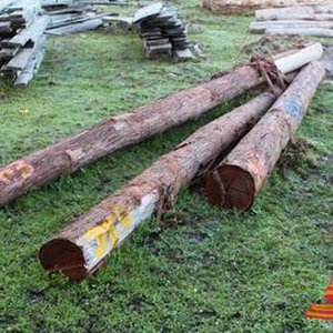 Jarrah Timber House Poles, Nature Poles, Logs & Firewood Logs Online Offsite Auction