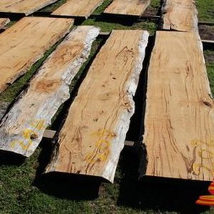 Live Edge Jarrah & Marri Slabs and Boards Stage 2 Online Offsite Auction