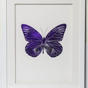 Fine Art
