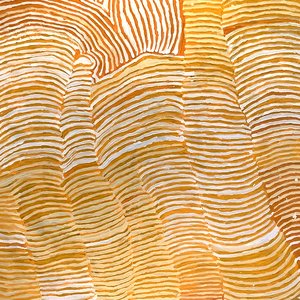 A Private Collection of Indigenous Art