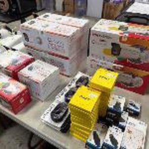 Birdsol Liquidation