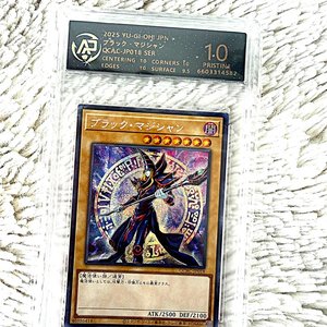 Pokémon & Yu-Gi-Oh! Lot – Graded, Rare, Vintage & Modern Holos