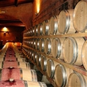 Daily Wine Sale