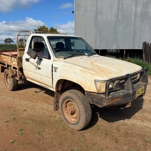 Hilltops Egg Farm Clearing Sale | Reynoldsdale, Booroowa