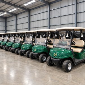 Melbourne Golf Cart Auction