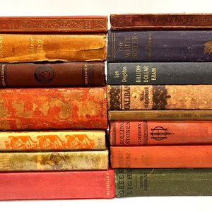 Moving Clearance Auction | Collectables & Books
