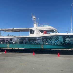 Gold Coast Charter Vessel “Spirit Junior” 51.5 Feet Fiberglass Catamaran- In Survey