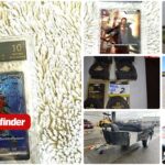 Upcoming auction highlights