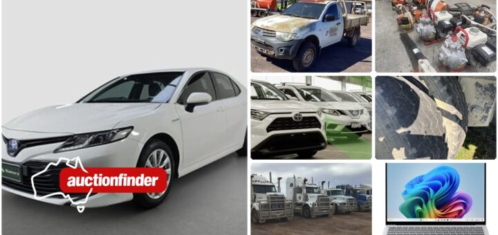 Upcoming auction highlights