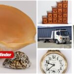 Upcoming auction highlights