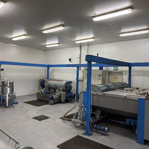Olive Farm Disposal Sale