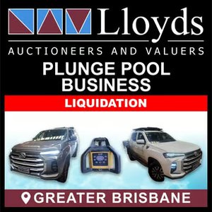 Plunge Pool Business Liquidation -