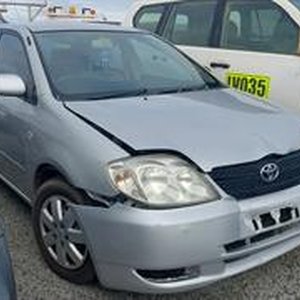 Salvage - Repairable Write Offs and Exempt Vehicles
