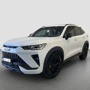 Newcastle Motor Vehicle Auction