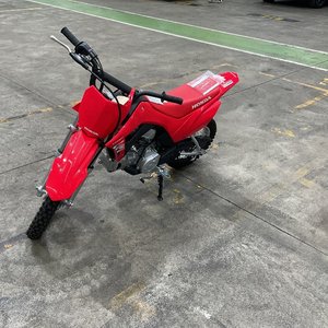 2025 Honda CFR 110F  Petrol