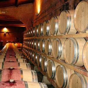 Daily Wine Sale