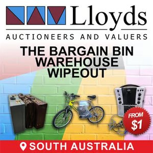The Bargain Bin Warehouse Wipeout